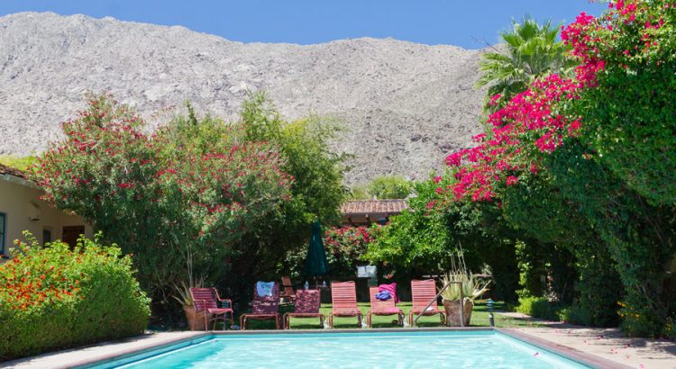 Palm Springs Poolside